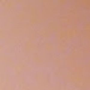 Meet your Posher, Toba